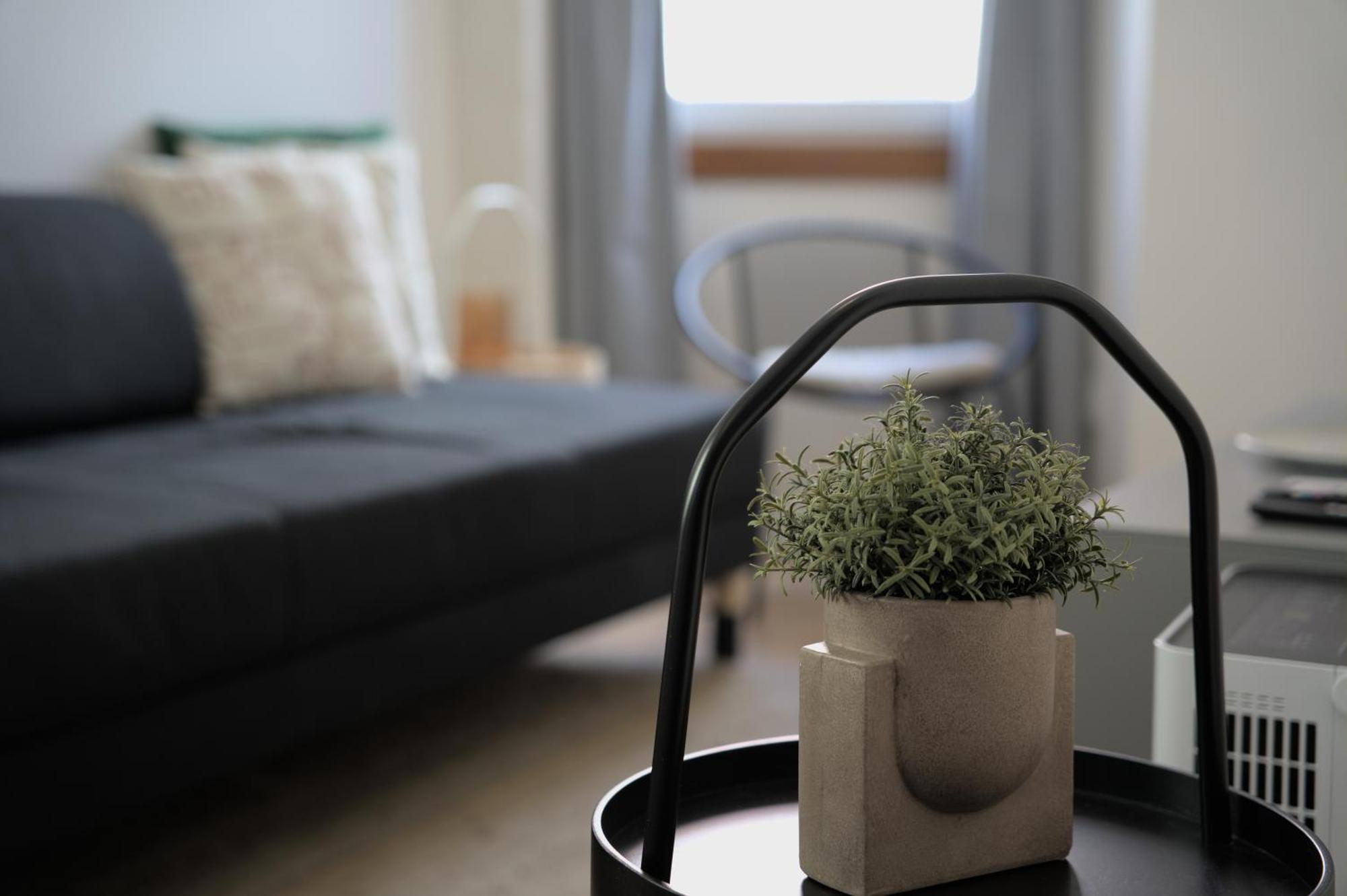 Apartment Elegant Flat Shared Outstanding Terrace Lisbon